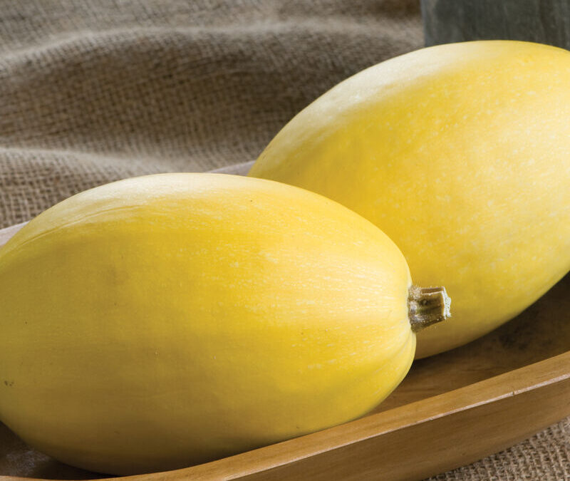 Spaghetti Squash